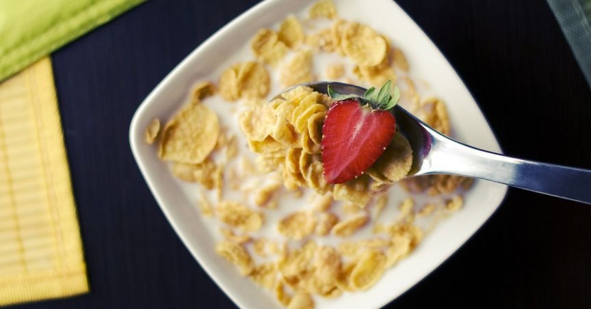  Freedom Foods Unveils Its Exit From Major Cereals And Milling Contracts In 1HFY19 Results 