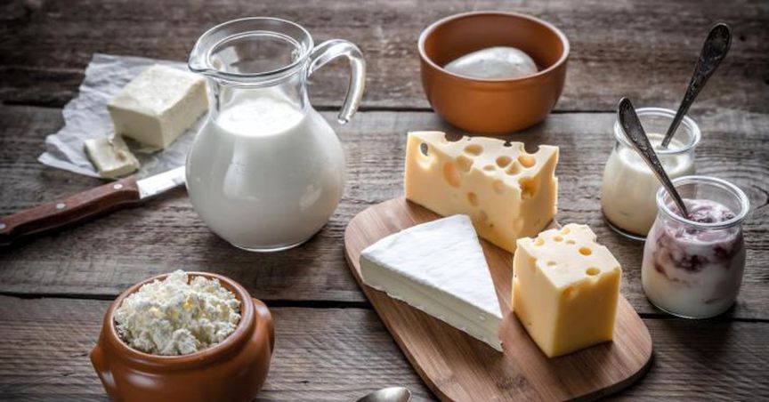  3 Dairy Stocks - SM1, A2M And KTD 