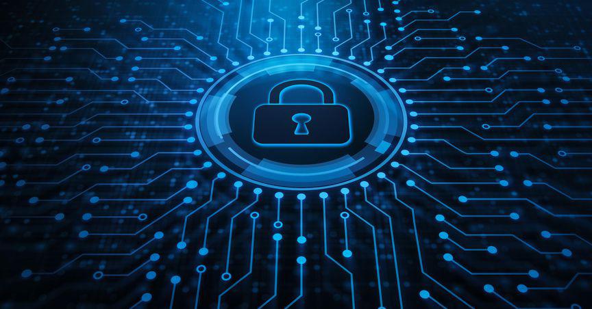 XRO, DUB, APX: 3 ASX tech stocks Kiwis may watch out for in July