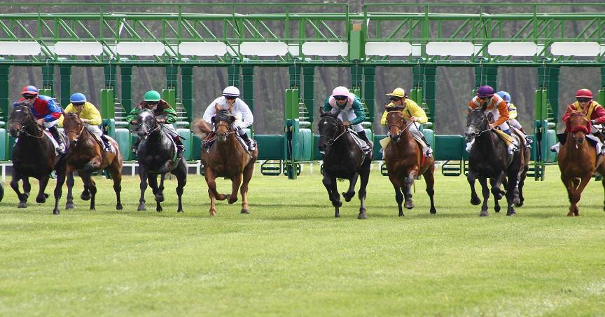  BetMakers (ASX:BET) inks deal with Punting Form 