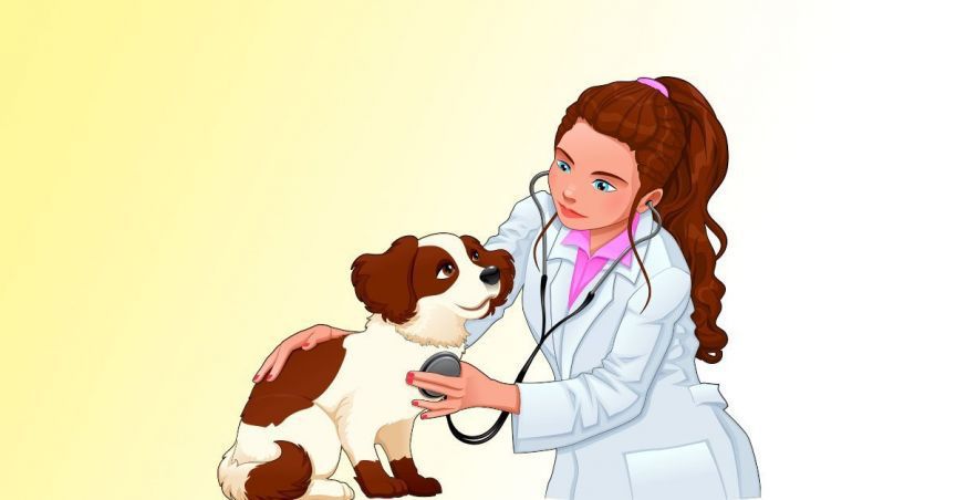  CannPal Reports Positive Results For Phase 1B Study Of Animal Pain Control Drug CPAT-01 