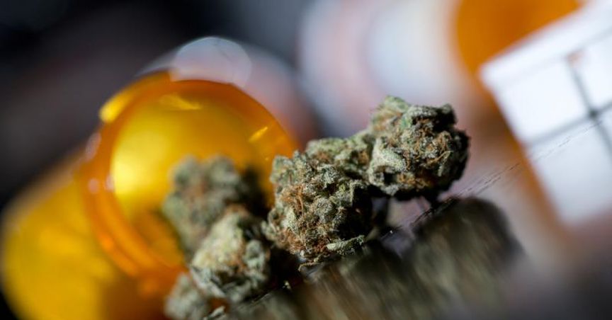 Creso Pharma Ltd.’s Share Mounted on ASX