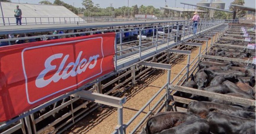 Elders Inked New Partnership Terms With Rural Bank