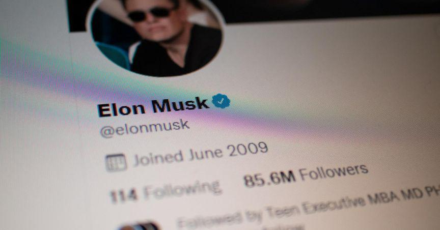  Twitter (TWTR) shares plunge after Musk nixes deal 