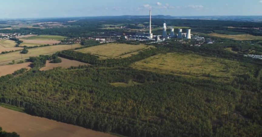 Euro Manganese Nose Dives On Release Of Financial Statements