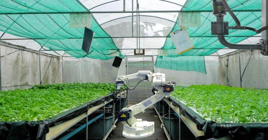 Is Beyond Meat Shaping the Future of Plant-Based Protein?