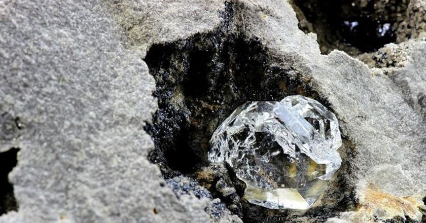  The Share Price Of FDX Increased By 5% After The Exploration Results 