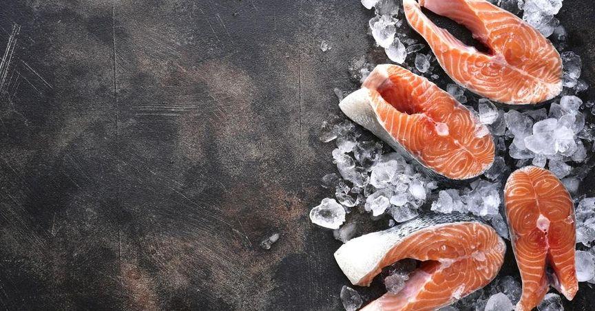 Is High Liner Foods (TSX:HLF) Making Waves In The TSX And S&P/TSX Composite Food Sector? 