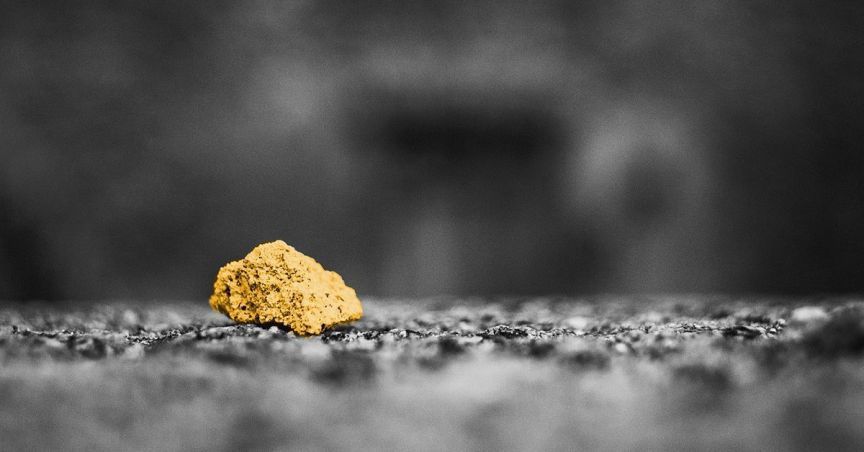  Vector’s Securities Suspended From The Official Quotations On ASX 
