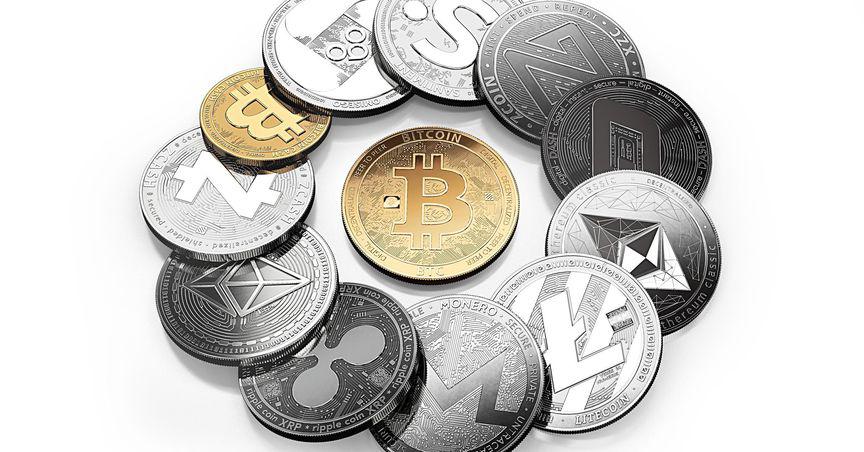  Burger, Banana, Pasta & more: Top 5 cryptos named after food items 