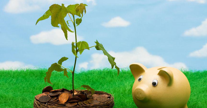 SVR, GEO, ALF: 3 penny stocks grabbing investors' attention in July