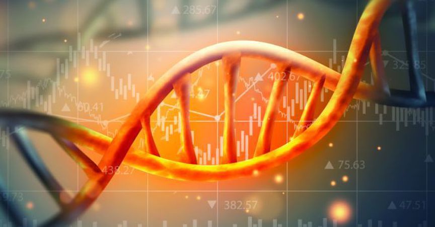  3 Healthcare Stocks - NAN, BNO And SOM 