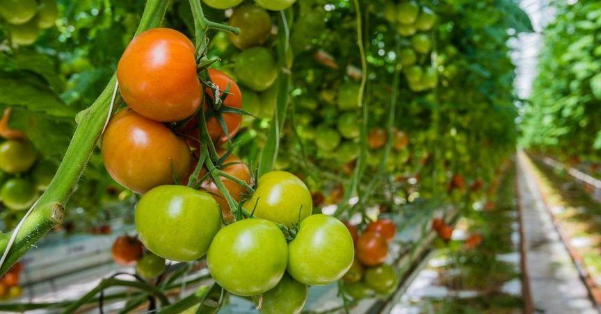  SSP Group Plc Within FTSE 350 as UK Travel and Catering Services Remain in Focus 