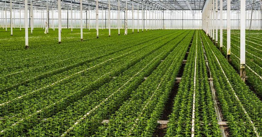 Are Stantec’s Strategies Reshaping the Engineering and Environmental Sector?