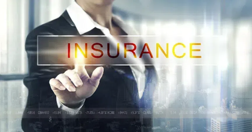  Insurance stocks you can explore in October 