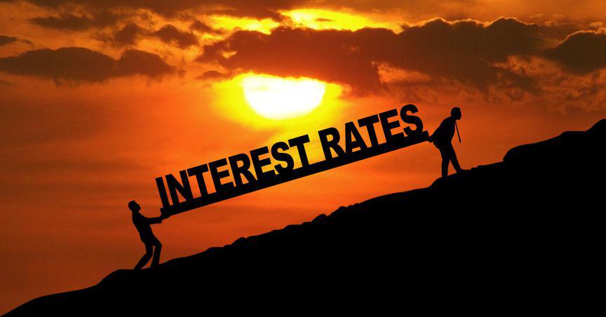  What are the effects of rising interest rates? 