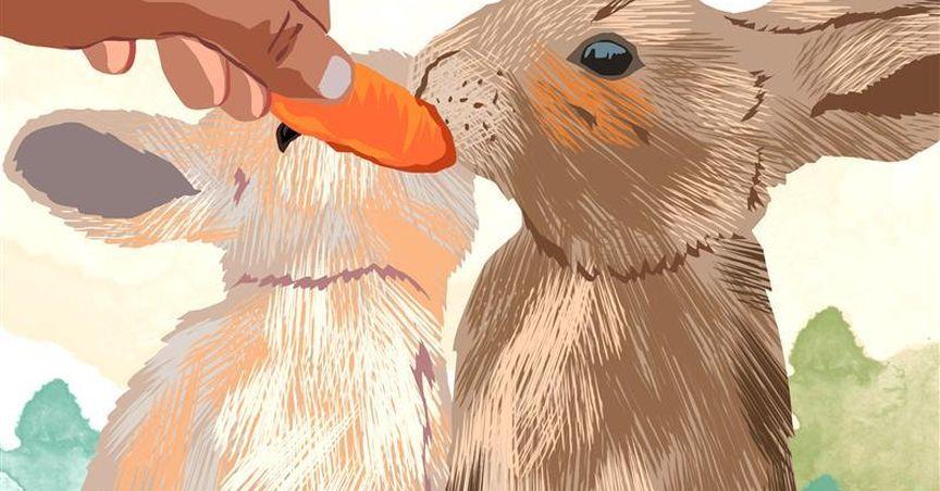  Top 10 Rabbit-Safe Foods You Already Have at Home 