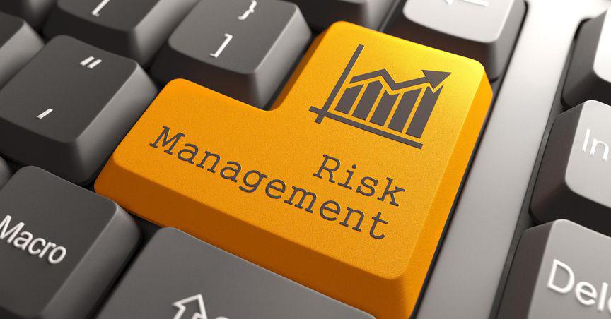  What is diversification and why is it important? 