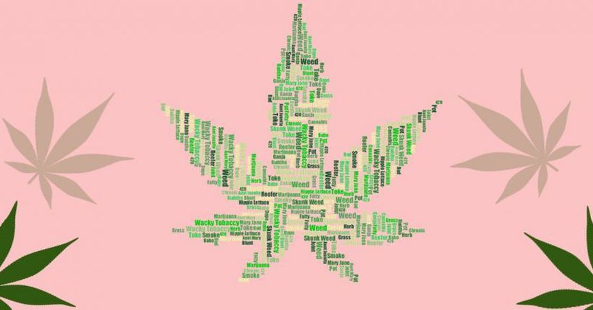 MMJ Group Reveals Business Update To Investors