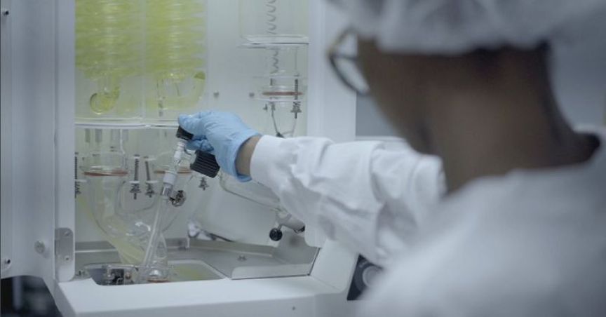 MediPharm Labs Bags A Sales License For Canada