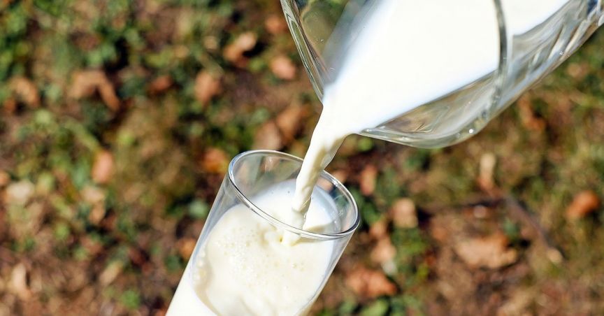 Australian Dairy Announces the Extension of ‘The Collective’ Contract