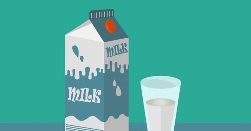 The a2 Milk’s Stock Spurts Near To Its 52-Week High On Record Financial Results For 1H FY19