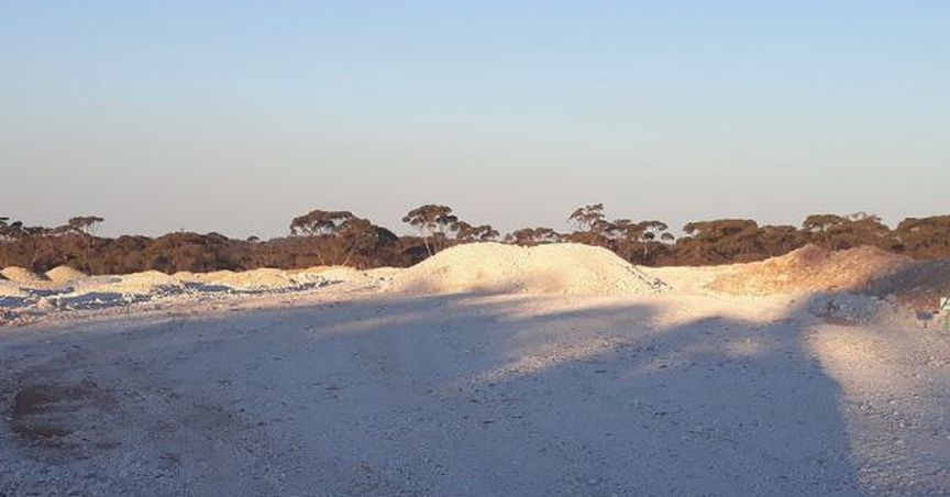  Pioneer Resources Confirms 1-Kilometre Long Nickel Sulphide At Leo’s Dam 