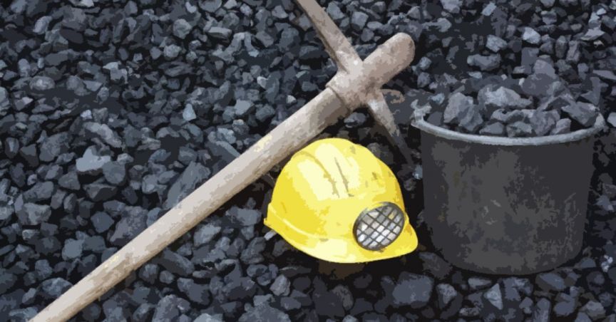 The Share Price Of BCB Zoomed Up After The Appointment Of Experienced Coal Executives