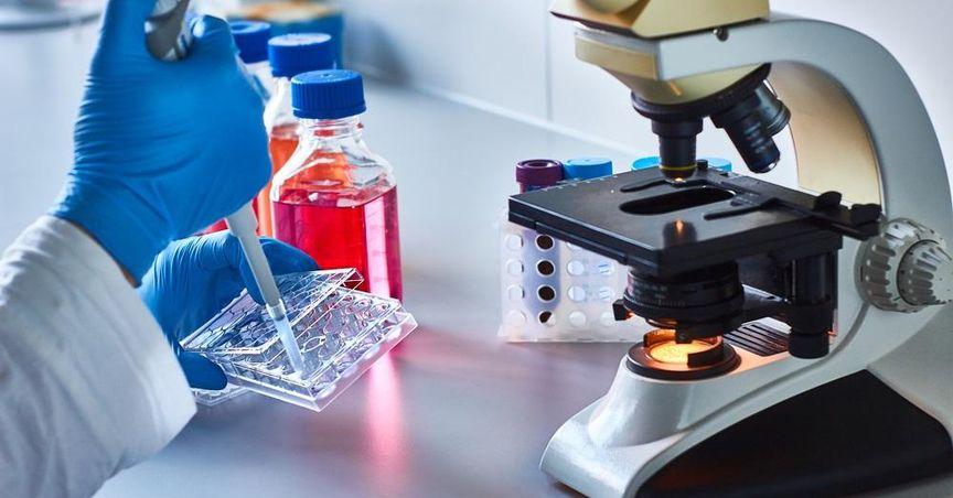  LTR Pharma’s Dual US Path Sparks Market Attention 