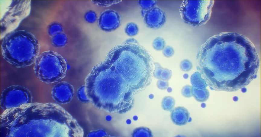  Biotech Stocks Under Investors’ Radar – SPL, MSB, IMM 