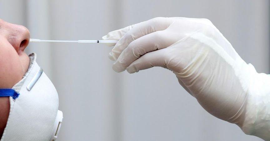  Healthcare Stocks Enter a Catalyst-Rich Phase as Sector Eyes Fresh Momentum 