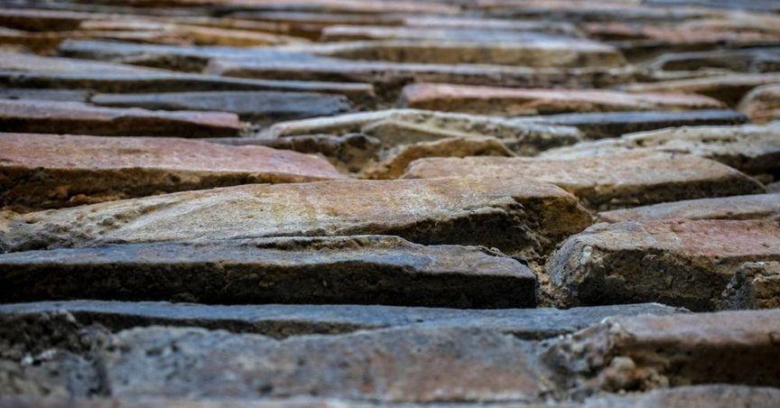  Are ASX Mining And Rare Earth Shares Gaining Momentum? 
