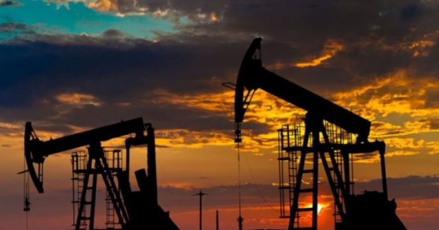 Whitebark Energy Traded Flat On December Quarter Result
