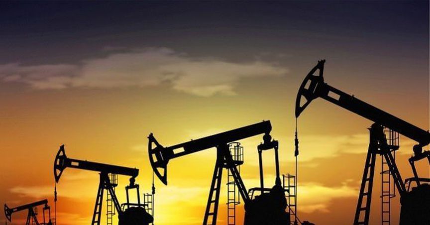  Fitzroy’s Shares Surged Over 10% On ASX Post Agreement With Royal Energy Pty Ltd. 