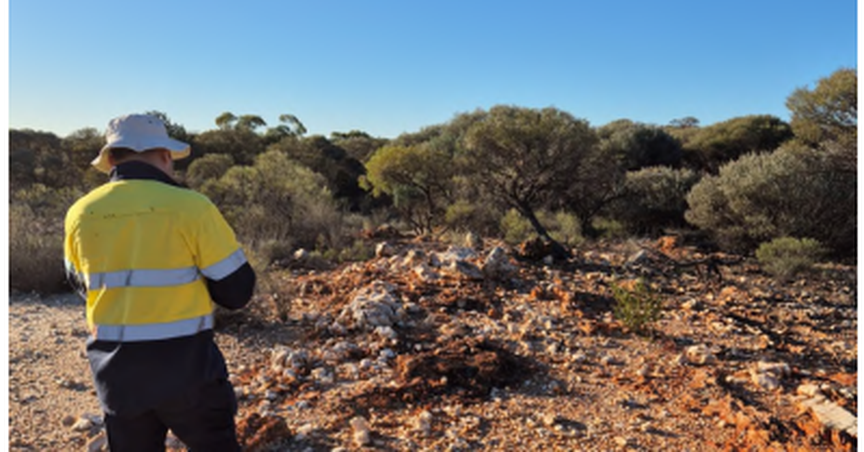  Platina Resources (ASX:PGM) Expands Laverton Footprint with Mt McKenna Gold Project Acquisition 
