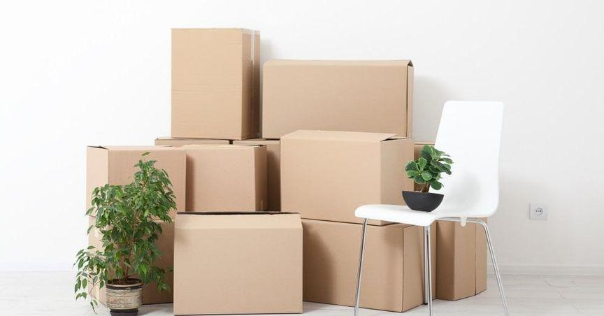  Is Supremex Inc (TSX:SXP) Maintaining Its TSX Dividend Cycle Amid Canada’s Industrial Packaging Landscape? 