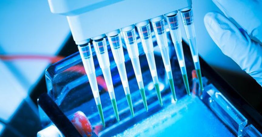  PharmAust To Increase Production of Monepantel: What You Should Know 