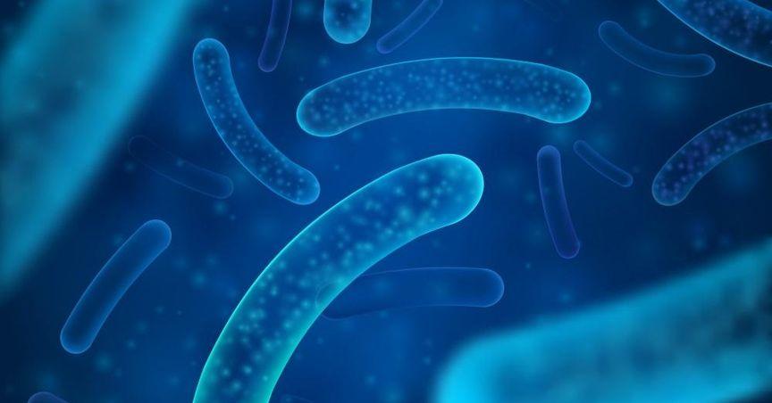  Is Devonian Health Group Facing Challenges After Trading Resumption? 