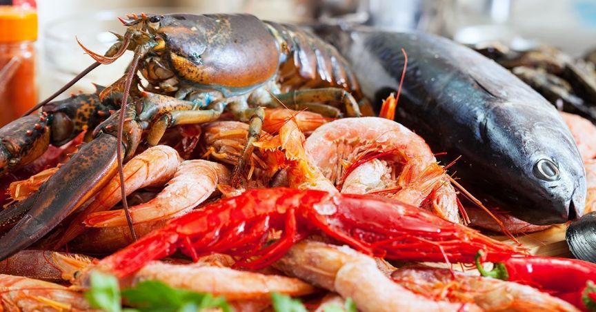  Angel Seafood’s Sales Increased by 64% in CY18 