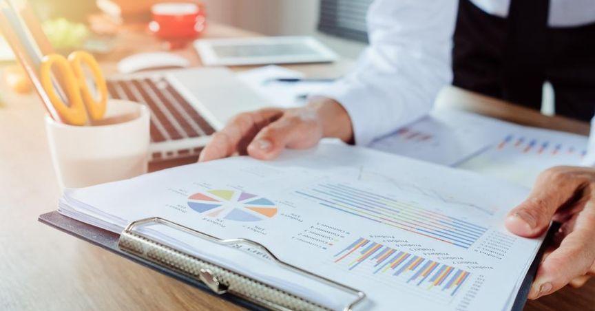  Distribution by Maturity and its Impact on Interest Rate Risk 