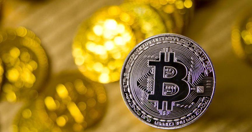  Bitcoin ETFs Surge as Altcoins Struggle Bitcoin Dominates the Crypto Market 