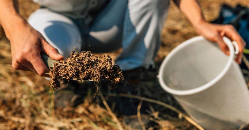  Nutrien Ltd. (TSX:NTR) Strengthens Global Position in Fertilizer Sector 