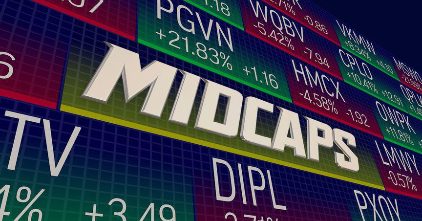  Building a Balanced Portfolio: Exploring the Potential of NYSE Mid Cap Stocks to Enhance Diversification and Accelerate Growth 