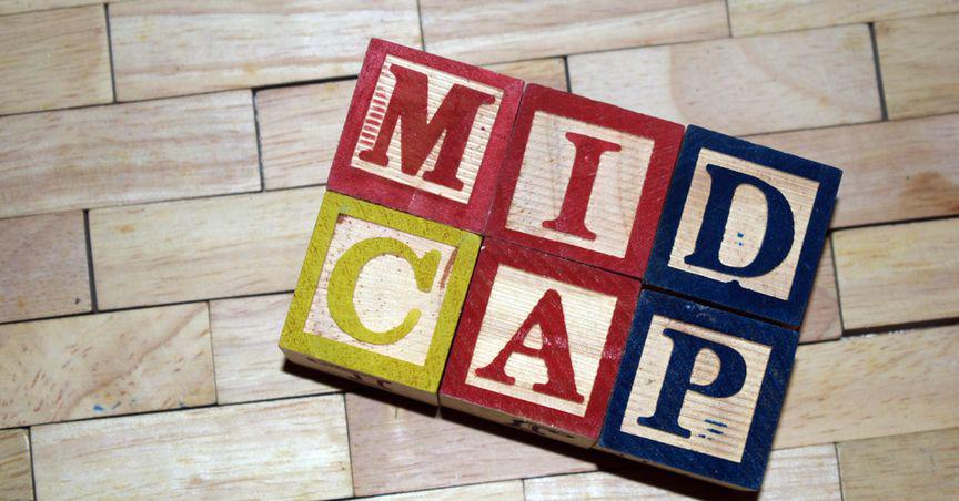  Balancing Risk and Reward: Strategies for Successful NYSE Midcap Stock Investing 