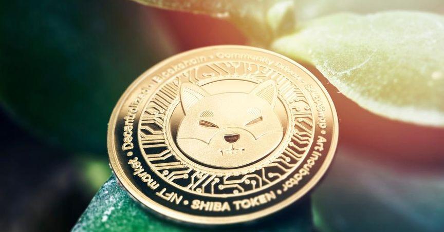  Is Shiba Inu's Sudden Surge a Bubble Waiting to Burst? 