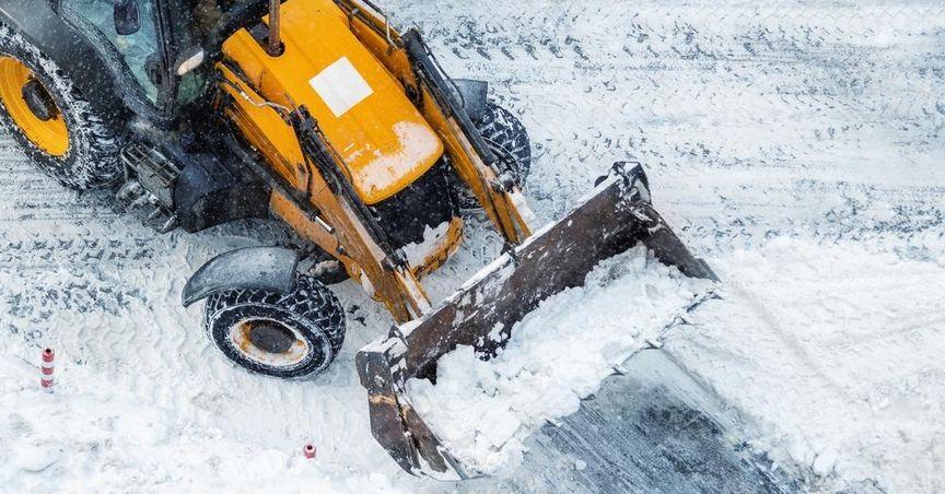 Patronus Resources Confirms Down-Plunge Gold Continuity at Koi Exploration Site| ASX 200