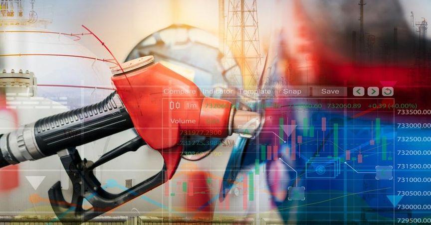 Eagers Automotive (ASX:APE) Poised for Strong Second-Half Performance in ASX200