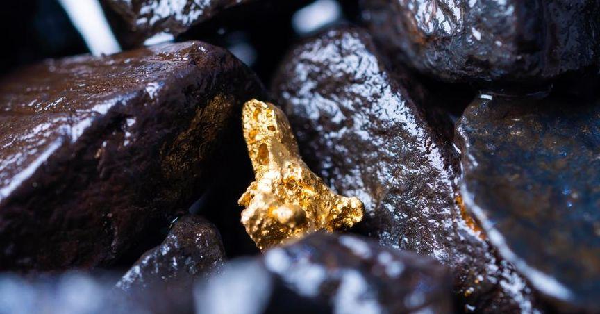  Whitehaven Coal (ASX:WHC) Insider Sale Signals ASX 100 Shift 