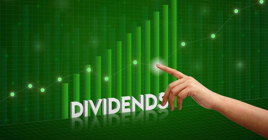 Don’t Overlook These Undervalued Dividend Stocks