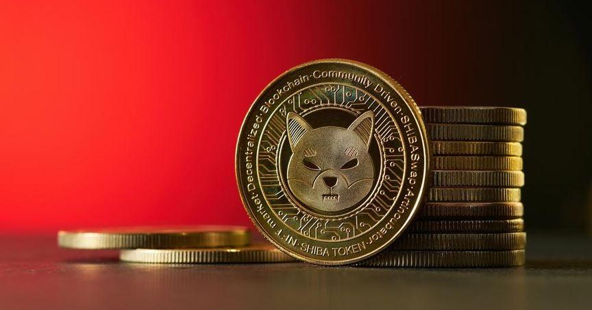  Massive Shiba Inu Transfer Sparks Speculation In Crypto Community 